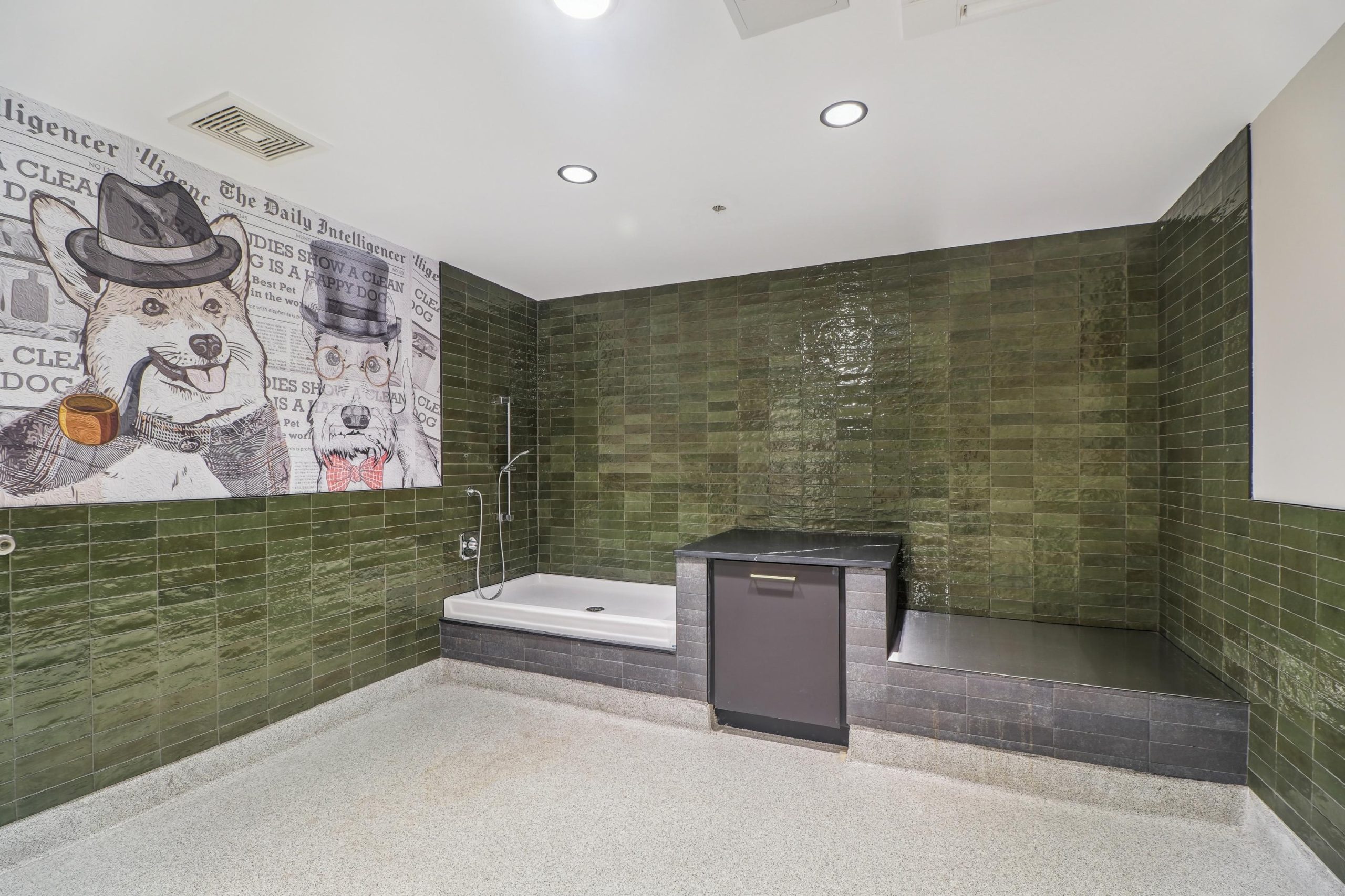 333 North Broad Dog Wash Room